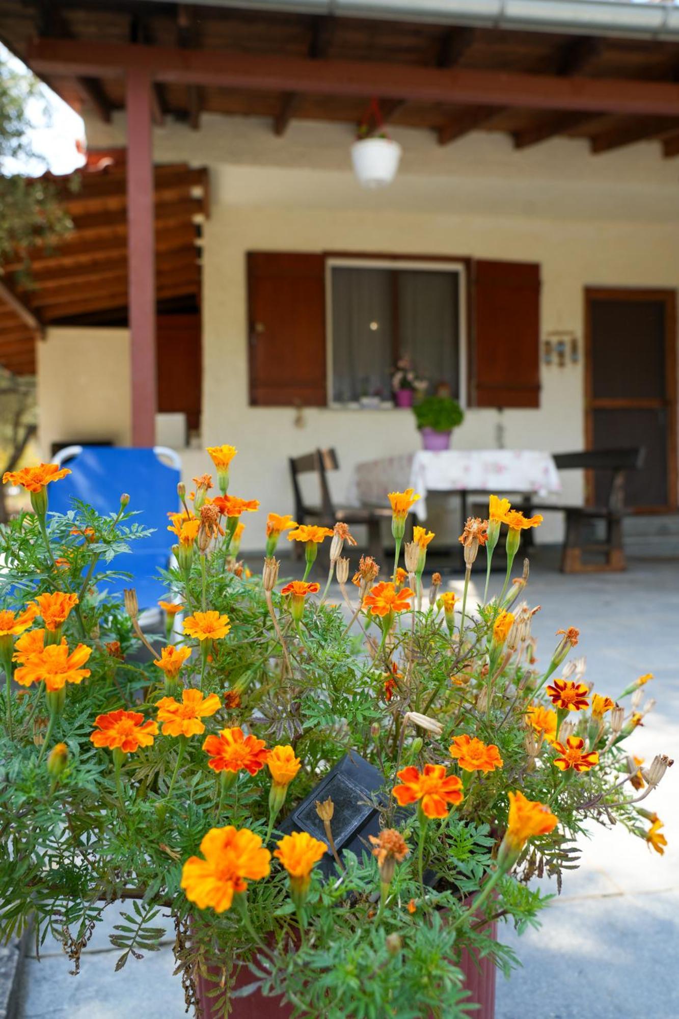 Olive Summer House Chrysi Ammoudia Dış mekan fotoğraf