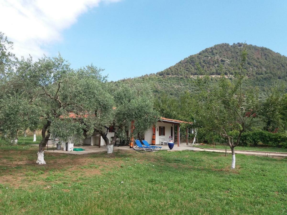 Olive Summer House Chrysi Ammoudia Dış mekan fotoğraf