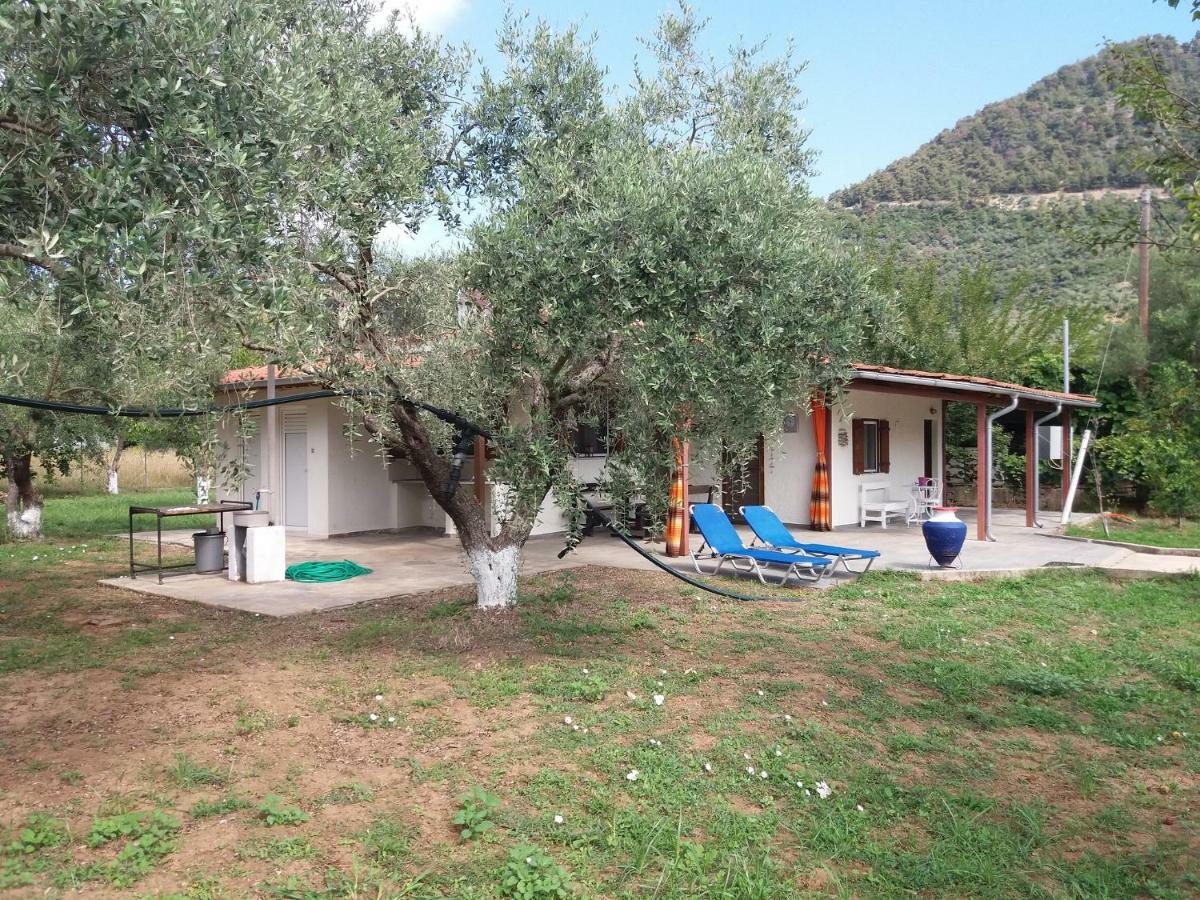 Olive Summer House Chrysi Ammoudia Dış mekan fotoğraf
